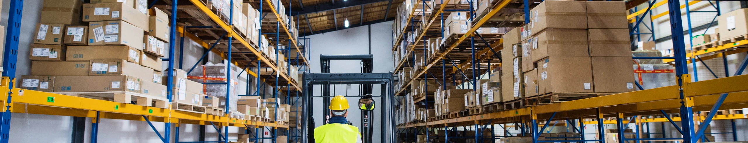 shutterstock_1023035488